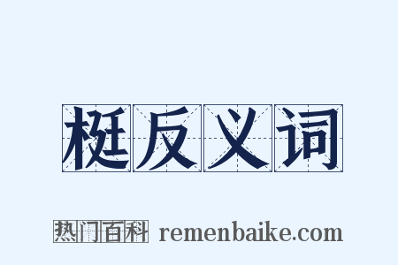 梃反义词是什么意思的图片